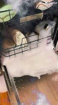 Dishwasher Overflow - Best Option Restoration