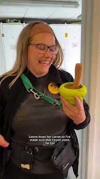 What is it like to work for Dogs Trust? | Dogs Trust