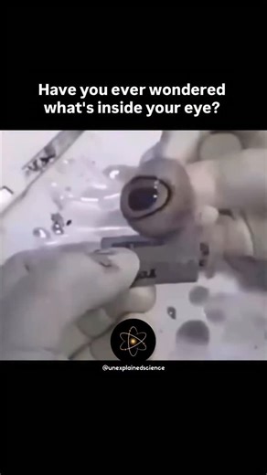 Unexplained Science ☢️ on Instagram: "👁️ What you see inside the eye isn’t just anatomy… it’s biological engineering at its finest. Each layer works with such fine precision that if even one failed, you would no longer see the world as you know it. 🔹 Cornea: the first window, curved and transparent, that begins to focus light. 🔹 Aqueous humor: the fluid that maintains perfect internal pressure. 🔹 Iris: the natural “diaphragm” that opens or closes the pupil depending on the light. 🔹 Pupil: t