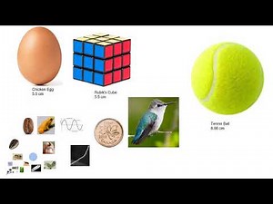 Universe Size Comparison 2024 (From Particles to the Universe)