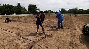 190K views · 8.5K reactions | Installing Drip Tape & Planting Some...