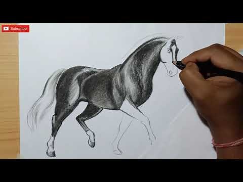 How to draw a black horse with charcoal pencil
