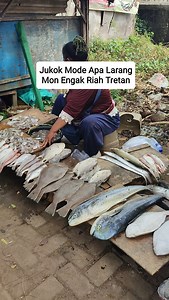 Ikan ikan khas Madura seperti ini tretan #madura | Kawasan Madura