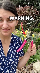 5.8K views · 36 reactions | Pruning demystified: The simplest way I...