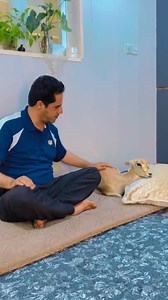 6.7K views · 502 reactions | Muhammad Nuri on Reels | Facebook