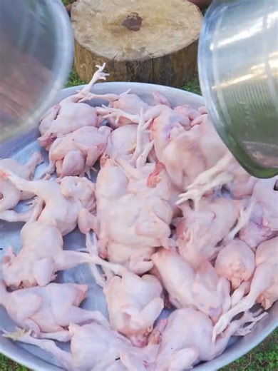 Village Style Full Chicken Biryani Recipe in Nature