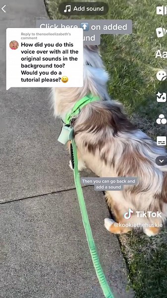 Dog Voice Over Tutorial: Make Your Videos Go Viral!