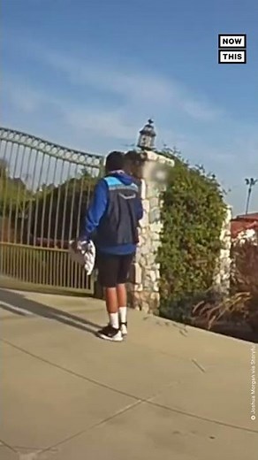 Delivery Driver Encounters Bear