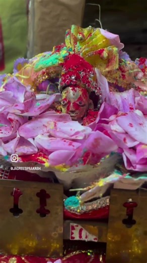 Gulaal barast hain #holi #ytshorts #fyp