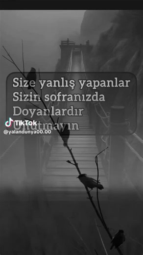 Seyit Ali 4290 (@seyit_ali4290) adlı kullanıcının orijinal ses - Seyit Ali 4290 ile oluşturduğu videoları