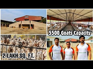 AFK Agronomics LLP, Azamgarh | Complete Farm Tour of India's Biggest Goat Farm