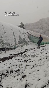 I wonder how easy is it to put the cover back on to do it again and again...I vote using the leaf blower | Doug Marcaida