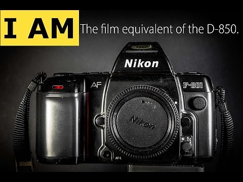 Nikon F-801 (N8008) The 35mm film camera Underdog.
