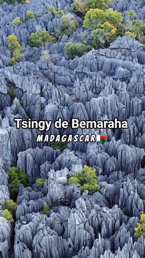 Day 326 : The Forest of Razor-Sharp Knives🗿 Tsingy De Bemaraha #travel #shorts #facts