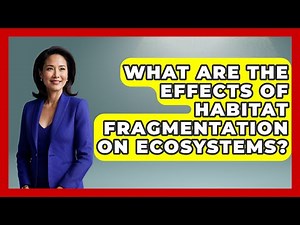 What Are the Effects of Habitat Fragmentation on Ecosystems? - Ecosystem Essentials