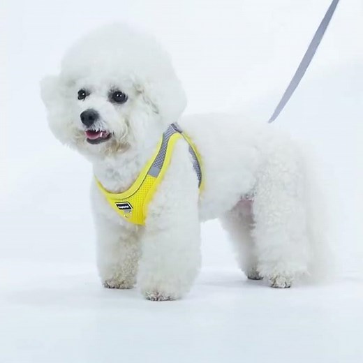 French Bulldog Harness Vest Adjustable Breathable Mesh for Small Dogs with Reflective Safety Leash