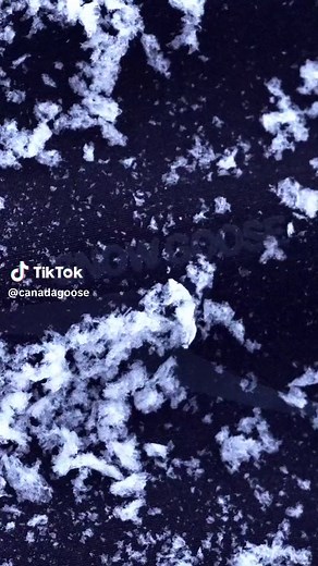 Haider Ackermann Capsule Collection Launch Under Heritage Label