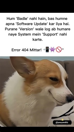 System Update #memes #popular #viral #funnymemes #tweetreels #system #update