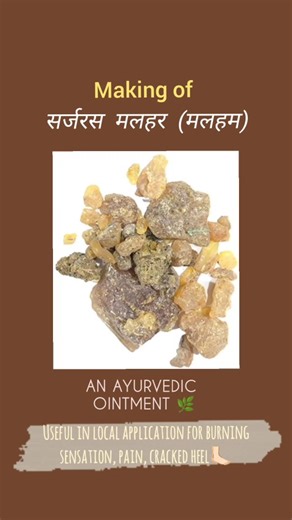ayumed.archive 🌼 on Instagram: "SARJARASA MALAHARA 🌿 Sarjarasa Malahara is a traditional Ayurvedic ointment (Malham) primarily used for external application to- •Treat burns ( Agni dagdhavrana) •Cracked heels ( Padadari) •Anorectal disorders like fissure-in-ano (Parikartika)."