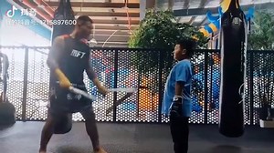 Boxing training sticks