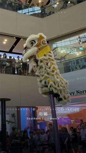 2025 Seletar Mall SG MSIA 1st Acrobatic Southern Lion Dance Championship | 利达广场 首屆 新马 南狮 高桩 錦標賽