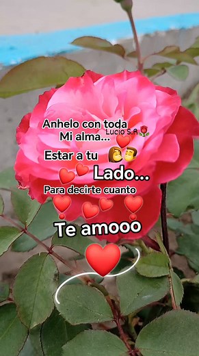 🎼 Cositas de amor 🎼💕💕💕💏💌👍❤️👉🤗🙏 | Lucio Sotelo