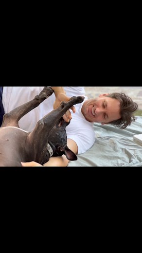 Instagram video by Derek Wilson • Mar 2, 2024 at 8:18 AM