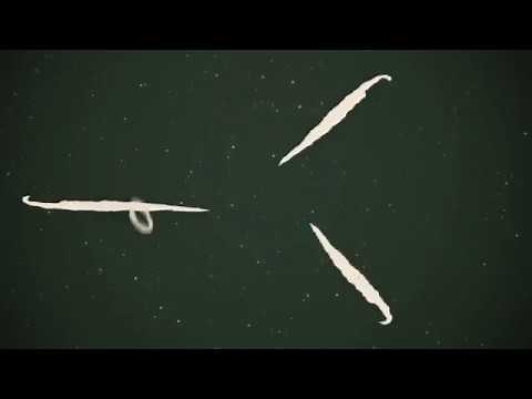 Ross Copperman - We Should Plant a Tree (Lyric Video)