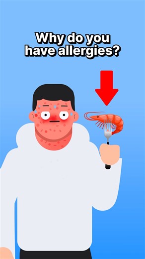 Max Philip Studio on Instagram: "Why do you have allergies? Well, for most of human history, humans constantly fought worms and parasites, often caused by dirty water and poor sanitation. To survive, these parasites evolved ways to weaken our immune system. In response, our immune system adapted by launching stronger reactions — swelling, mucus, sneezing, and itching — all designed to push invaders out of the body. Today, thanks to cleaner living conditions, most parasites are gone. But that def