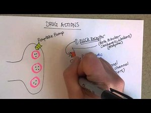 Drug Actions, Part 1