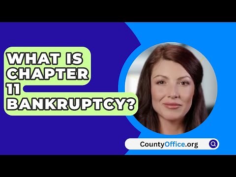What Is Chapter 11 Bankruptcy? - CountyOffice.org