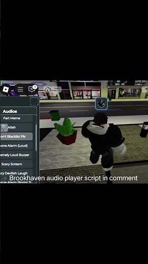 Brookhaven audio player script