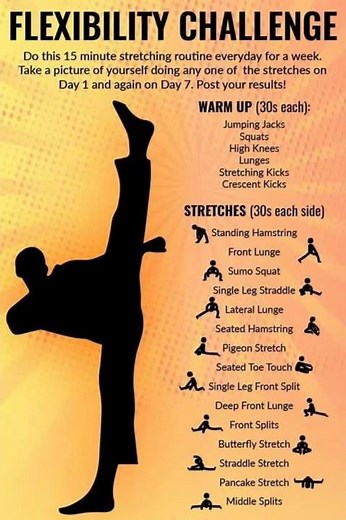 FLEXIBILITY STRETCH FOR BEGINNERS | 21 Day Challenge (Daily Routine for the Inflexible)