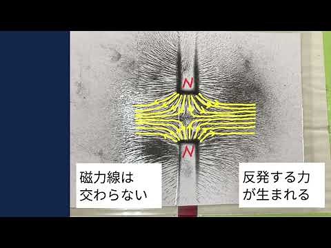磁石の磁界(鉄粉による磁界の観察)