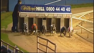 2M views · 6.1K reactions | DERBY REWIND ⏪ The greatest - Westmead Hawk   2005  2006 Will we ever see the like again❓ A greyhound forever immortalised into our sport's history books. Check his first Derby triumph at Wimbledon 1⃣8⃣ years ago ⬇️  @RPGreyhounds #GreyhoundDerby2023  | Towcester Racecourse | Facebook