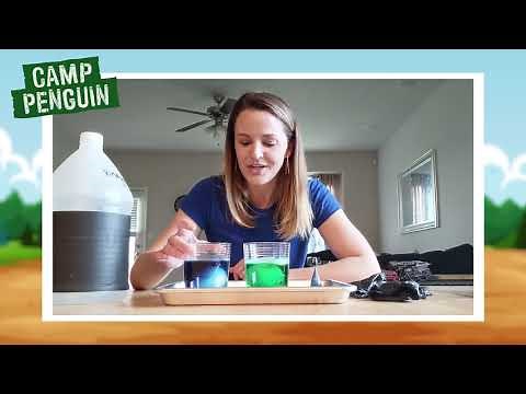 Kate the Chemist | Make a Bouncy Egg | Science Experiments for Kids