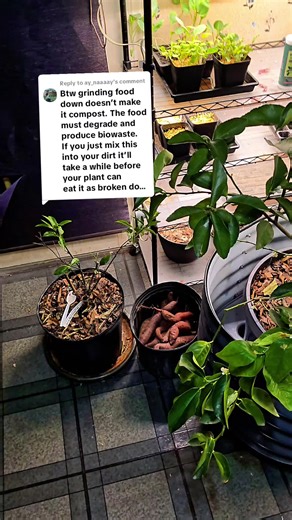 Electric Composter: A Convenient Solution for Food Waste Management