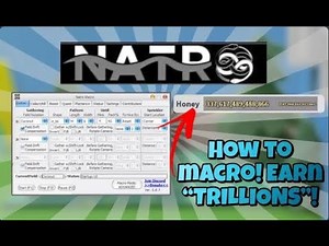 How To Macro in Bee Swarm Simulator! (tutorial)