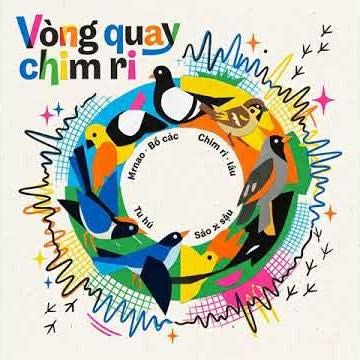 Vòng quay chim ri