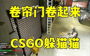 CSGO躲猫猫，卷帘门模型，冒充地图的卷帘门，我又合理了