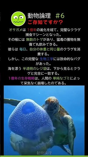 オサガメの1億年の進化がレジ袋に敗北した理由！ ⚠️ 6% #自然 #海洋生物 #ドキュメンタリー