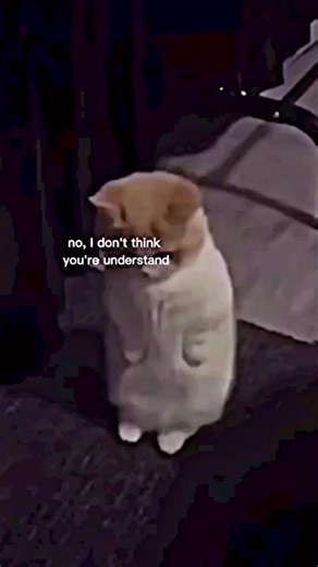 That’s chimchim btw😃#bts_official_bighit #parkjimin #chimchim #fyp