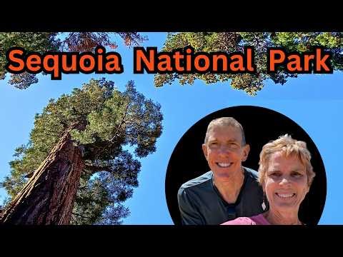 5 Reasons Why Giant Sequoia Trees Are Miracles !