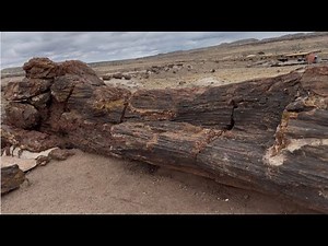 Giant Logs Trail 2025 (Arizona) || JEAN LENNERTZ