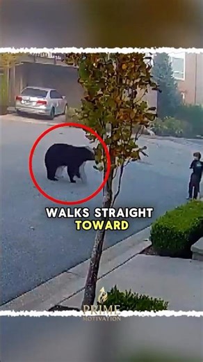 7-Year-Old Faces a Black Bear… But His Reaction Shocked Everyone 😳🐻