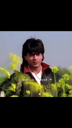 Shahrukh Khan: Bollywood Legend and SRK Fan Highlights
