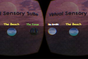 Virtual Sensory Suite