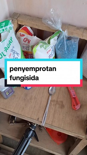 Penyemprotan Fungisida untuk Tanaman Anggur