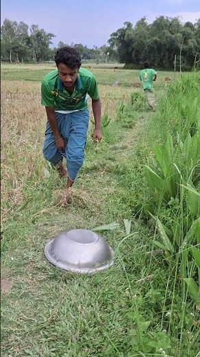 What is the rattling sound inside the pot?