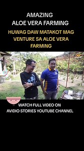 AMAZING ALOE VERA FARMING 🌵🌿😍 🌵Huwag daw matakot mag venture sa aloe vera farming. 🌿👌😍 Alamin dito: 👉 https://bit.ly/4aYZ6wy #fyp #foryoupageofficiall #aloe #aloevera #agriculture #agri #avidiostories #fbreelsfypシ゚viralシ #aloevera #farming #agriculture | Arthuro Toldanes Sinobago